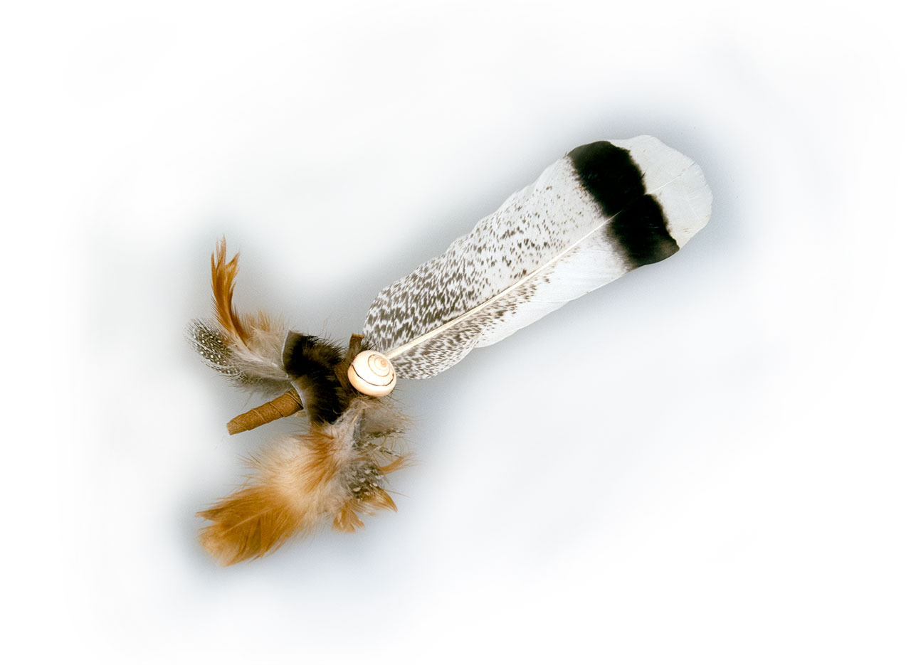 Beauty hell - Wildtruthahnfeder