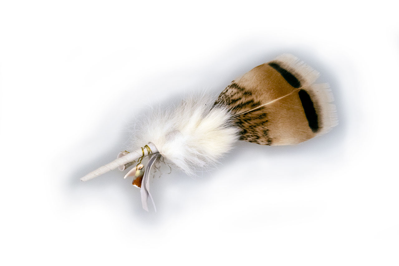 Beauty klein - Wildtruthahnfeder