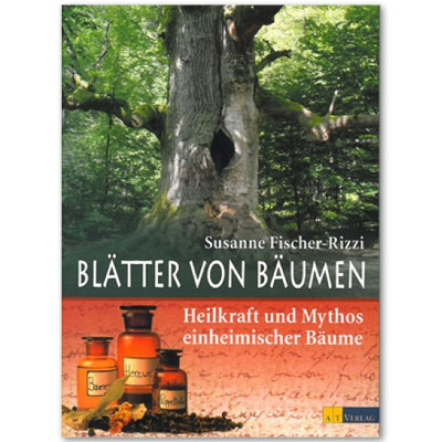 Blätter von Bäumen