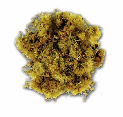 Immortelle Blüte 5 g Immortelle Blüte 5 g