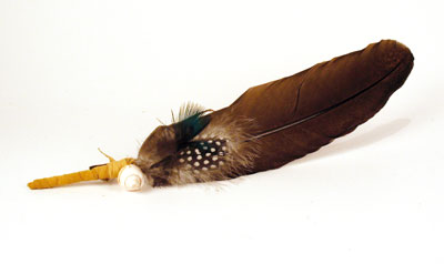 Pfauenfeder, dunkel Pfauenfeder, dunkel