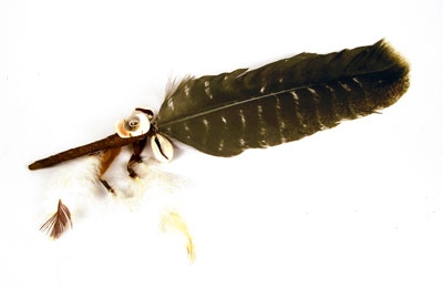 dunkle Schamanenfeder dunkle Schamanenfeder