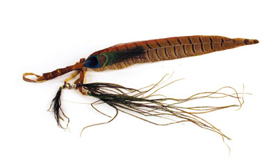 Fasanfeder mittelgroß Fasanfeder mittelgroß