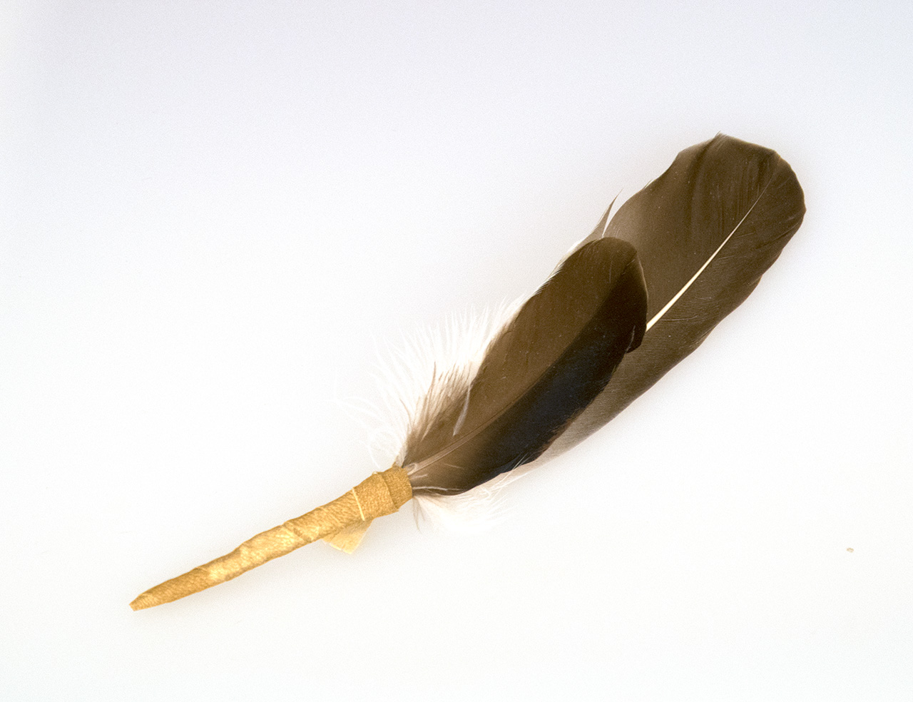 Graugansfeder Chiara, mittelgroß Graugansfeder Chiara, mittelgroß