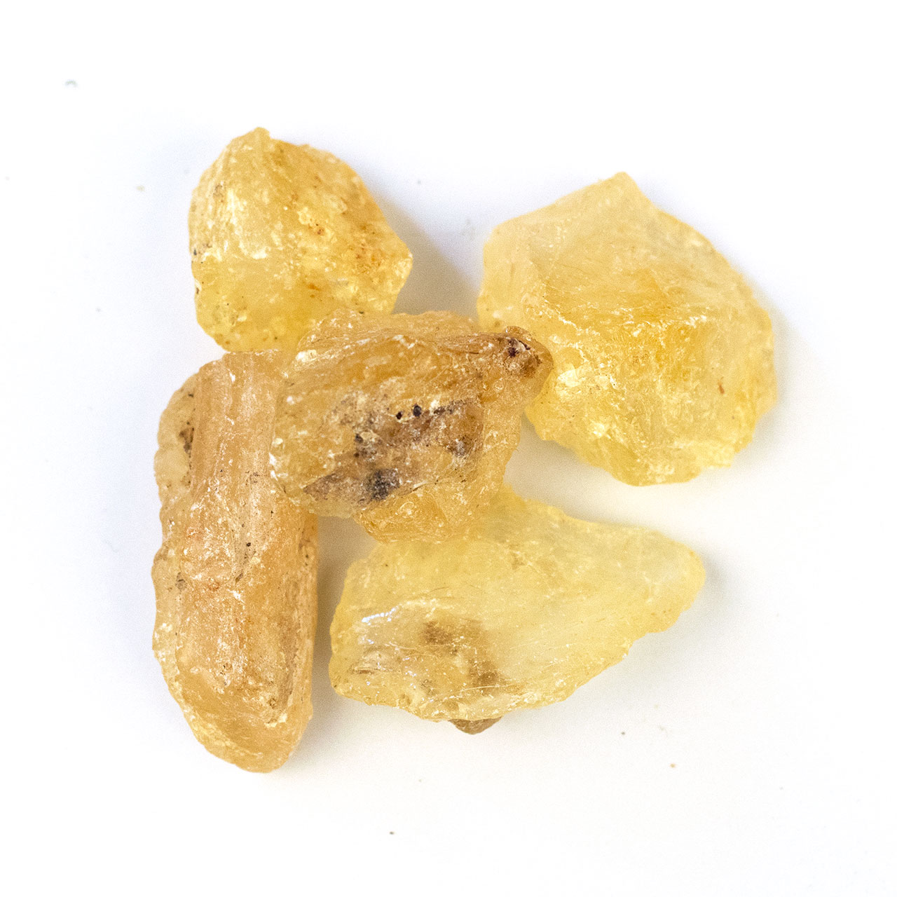 Copal hell first choice, großstückig 10 g Copal hell first choice, großstückig 10 g