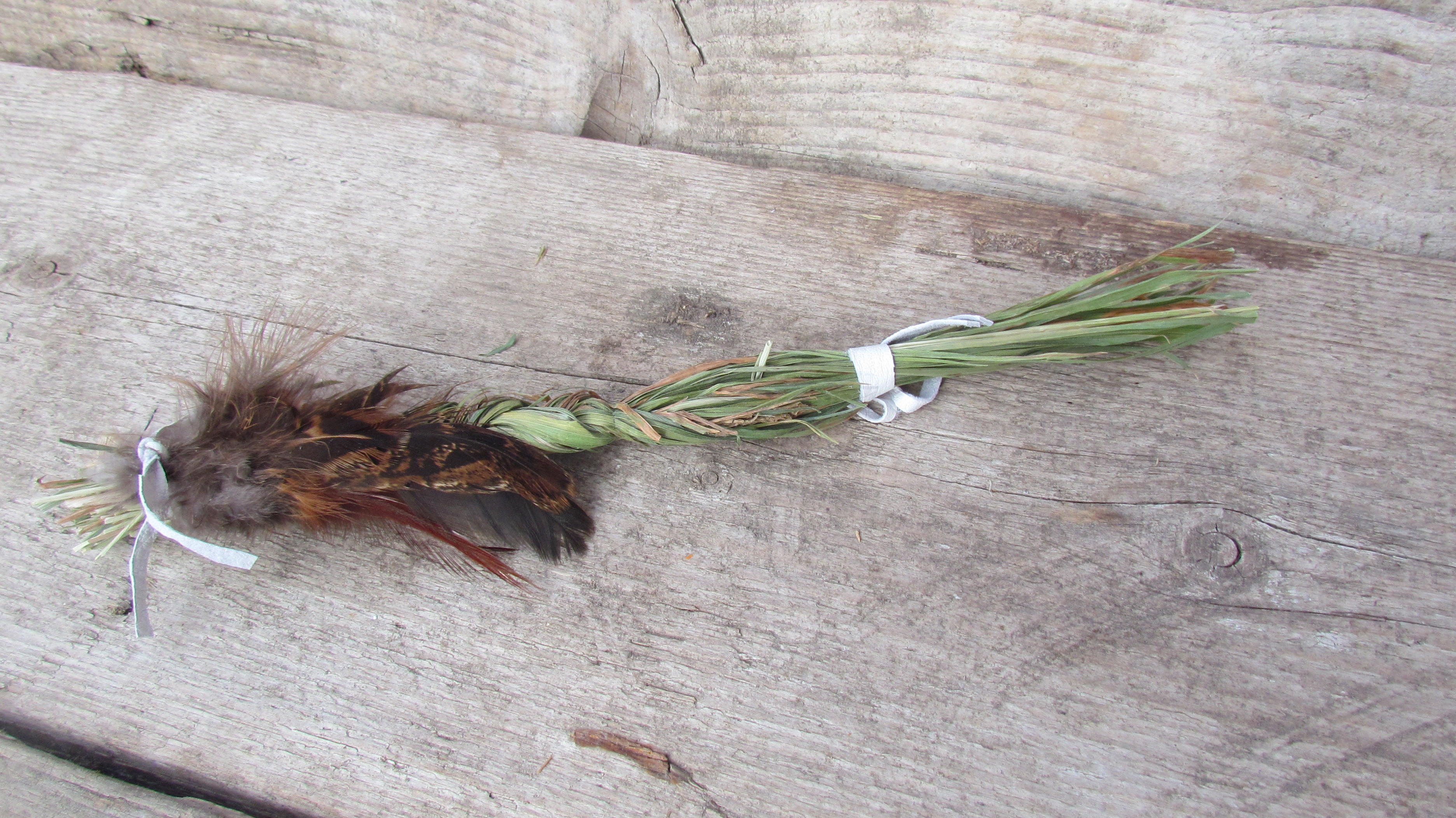 Ruchgras, groß mit Federn Ruchgras, groß mit Federn