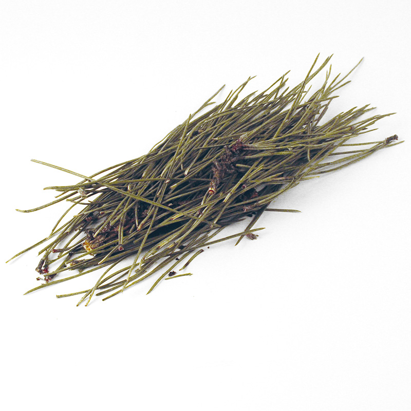 Kiefernadeln, ganze Pflanze 10 g, natur, eigener Anbau, getrocknet Kiefernadeln, ganze Pflanze 10 g, natur, eigener Anbau, getrocknet