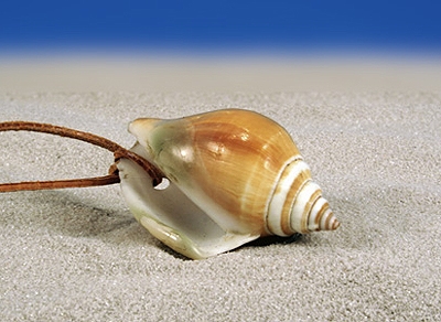 Isis Duftschnecke
