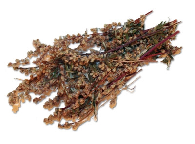 Beifuß, ganze Pflanze, natur 10 g, eigener Anbau, getrocknet Beifuß, ganze Pflanze, natur 10 g, eigener Anbau, getrocknet