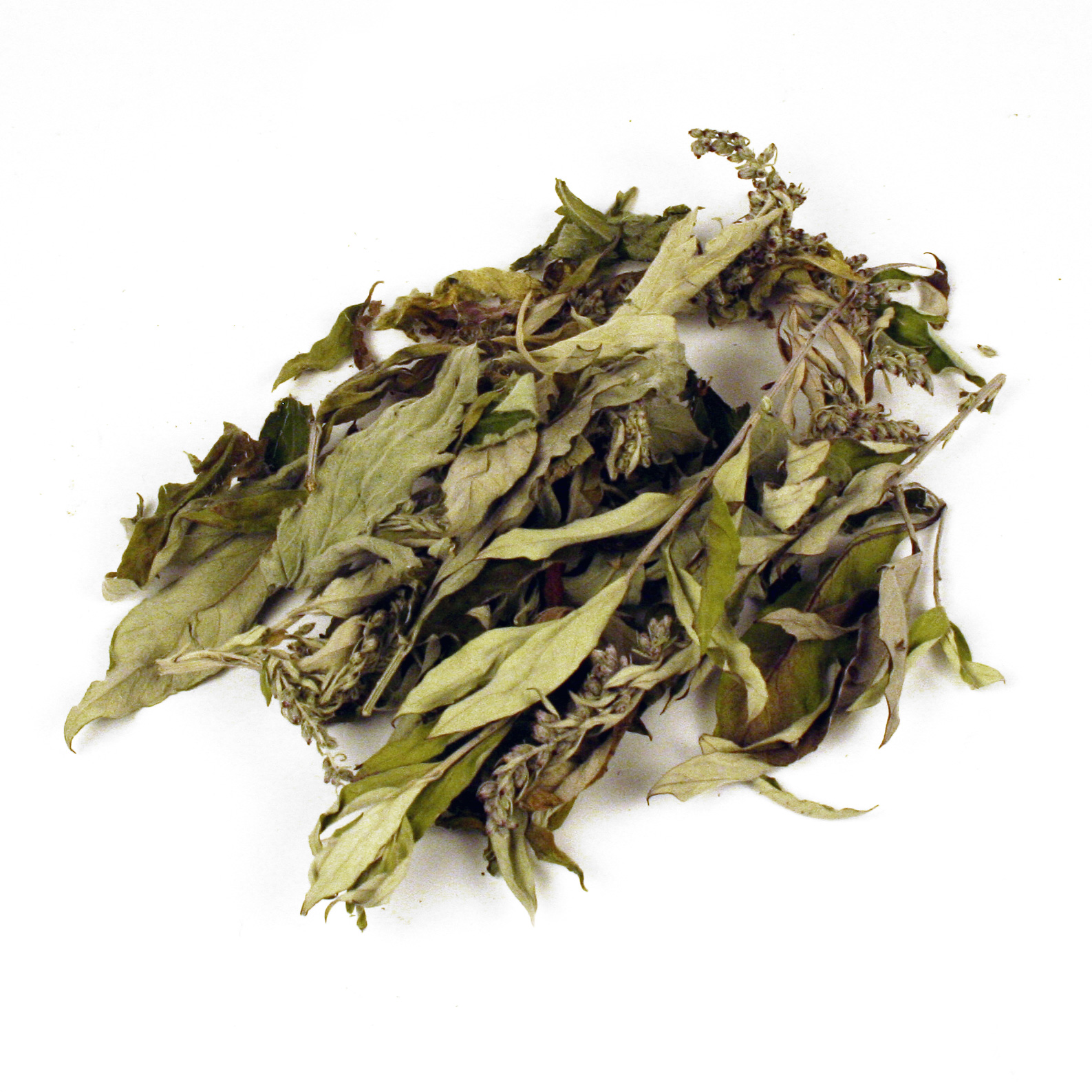 Moxabeifuß natur, ganze Pflanze, 10 g Moxabeifuß natur, ganze Pflanze, 10 g