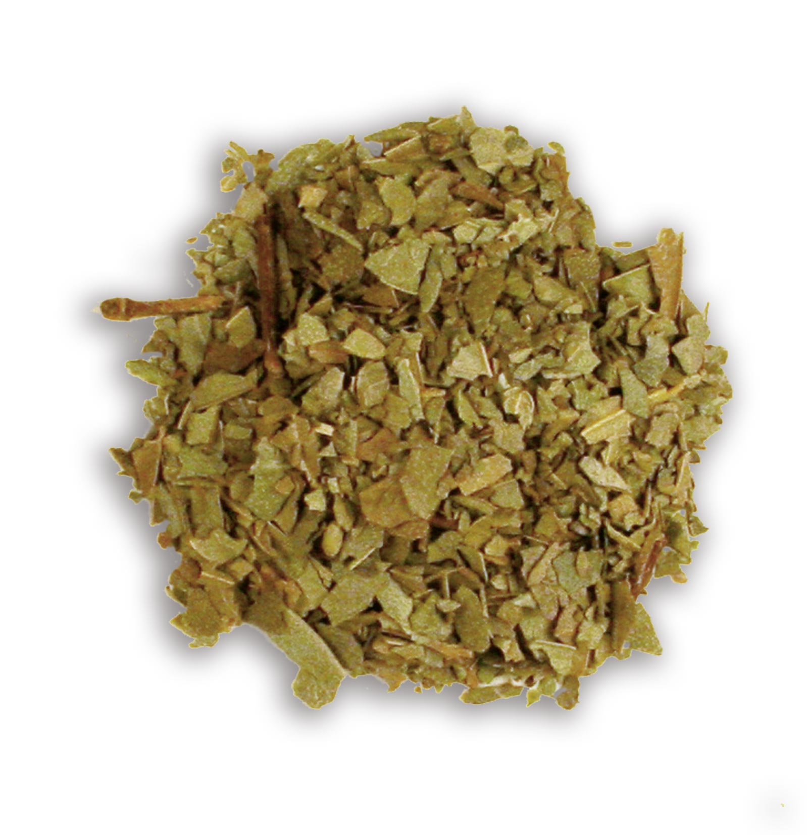 Boldoblätter 10 g Boldoblätter 10 g