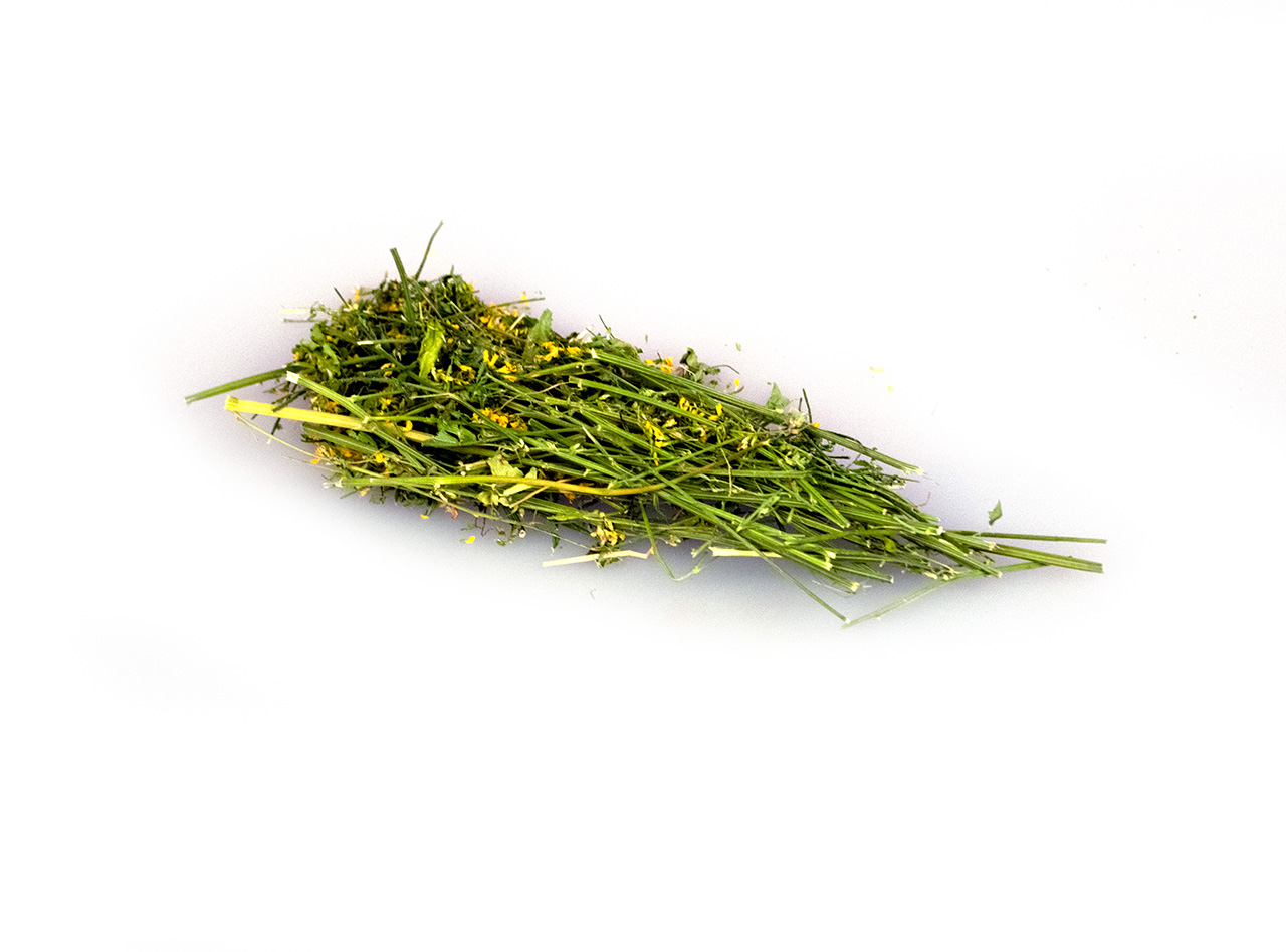 Steinklee ganze Pflanze, eigener Anbau, 10 g Steinklee ganze Pflanze, eigener Anbau, 10 g