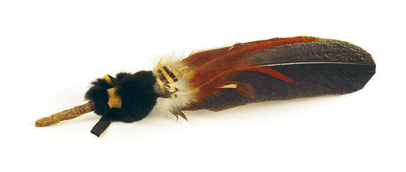 mittelgroße Pfauenfeder mittelgroße Pfauenfeder