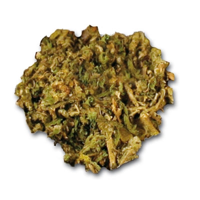 Macchu Picchu Salbei natur, eigener Anbau, 5 g Macchu Picchu Salbei natur, eigener Anbau, 5 g