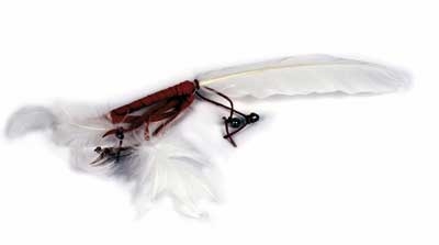 Engelfeder, mittelgroß Engelfeder, mittelgroß