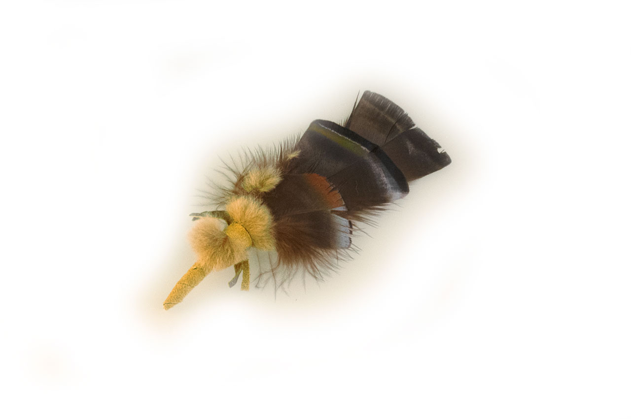 kleine Truthahnfeder kleine Truthahnfeder