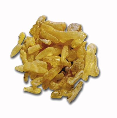 Sandarak Harz, 1. Wahl 15 g Sandarak Harz, 1. Wahl 15 g